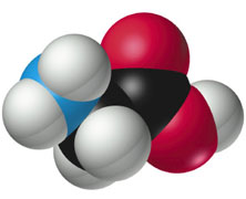 Casein Protein Chemistry