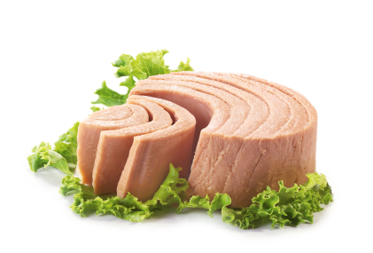 High Protein Snack Tuna